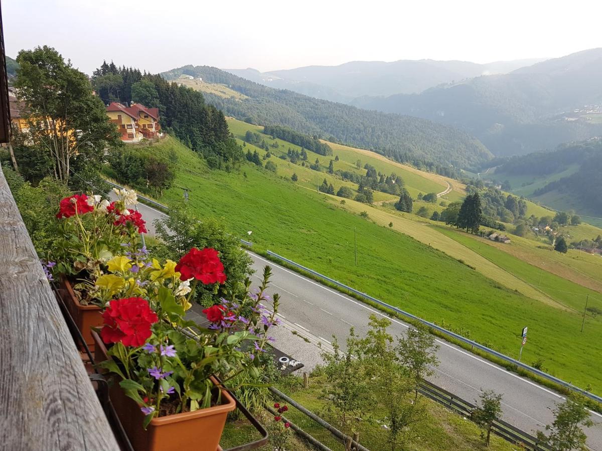 Hotel Alpi - Foza Kültér fotó