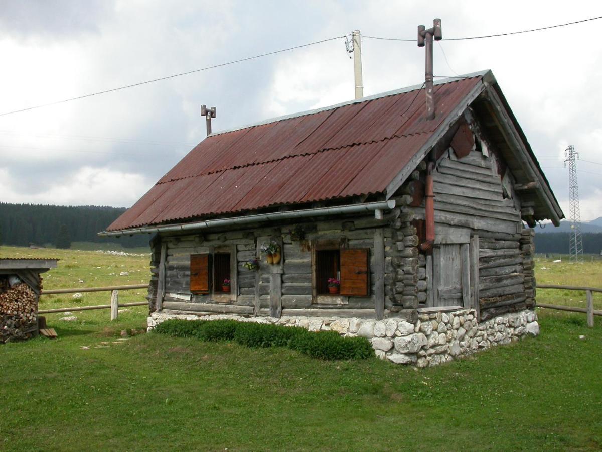 Hotel Alpi - Foza Kültér fotó